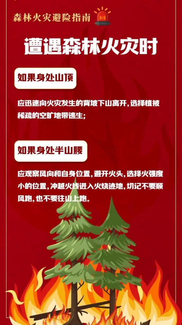 正在上传...
