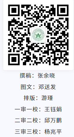 1766718446947818.png image.png