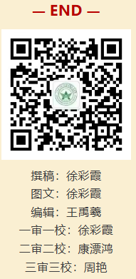 1767326350392751.png image.png